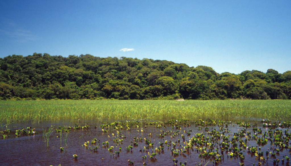 Ismael_Nobre-Pantanal_01