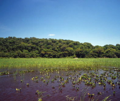 Ismael_Nobre-Pantanal_01