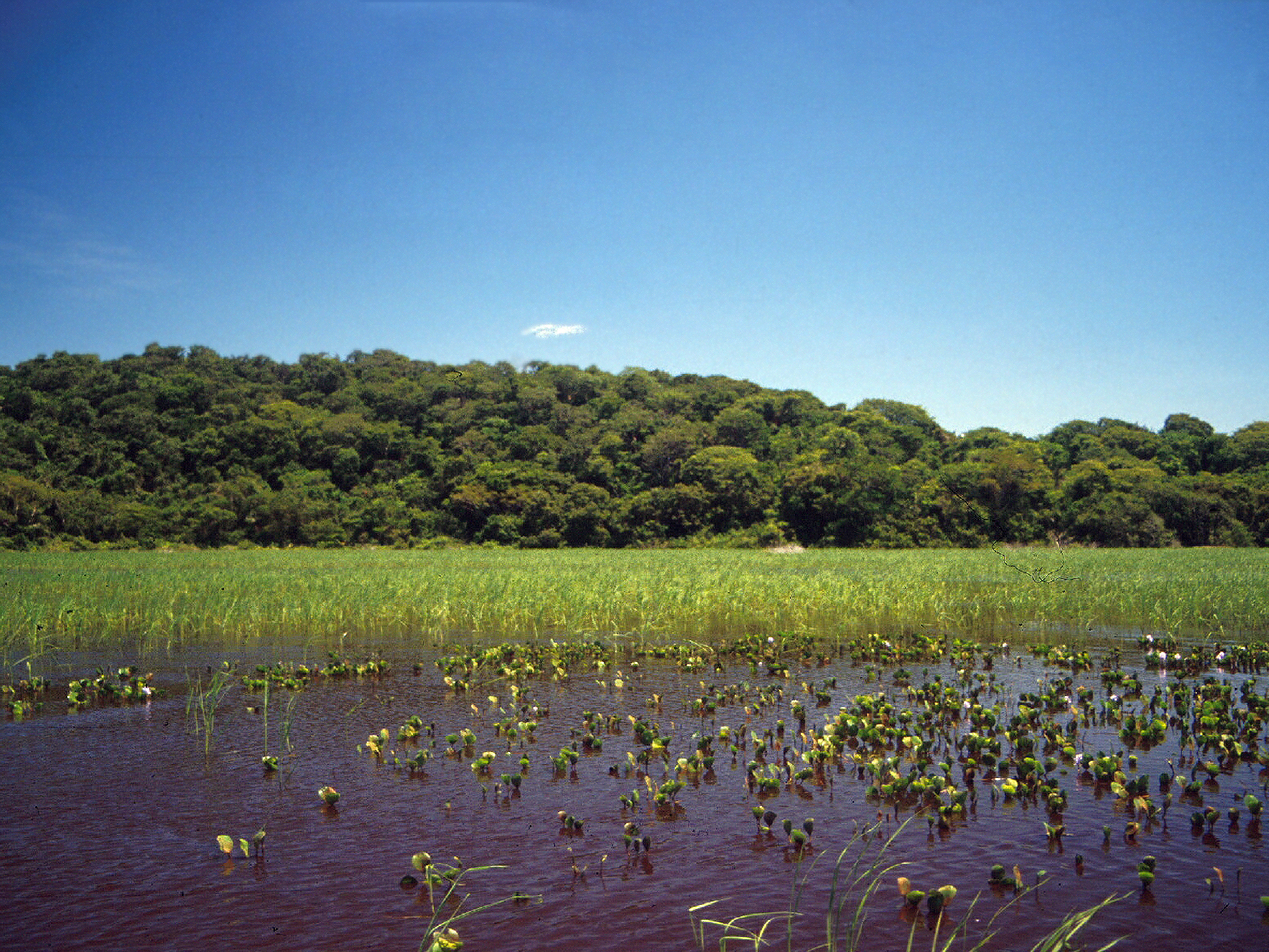 Ismael_Nobre-Pantanal_01