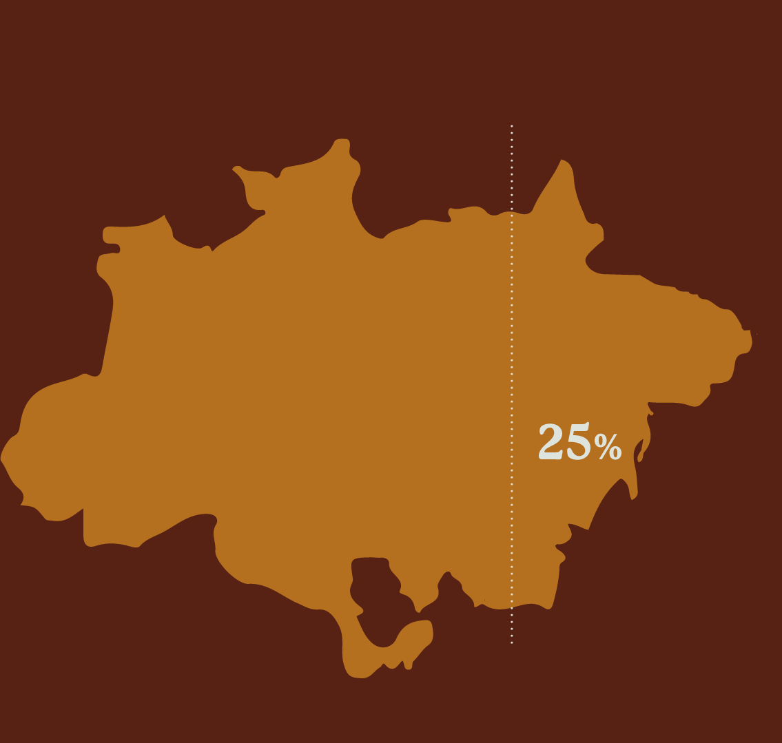 bg-mapa-savanizacao-2